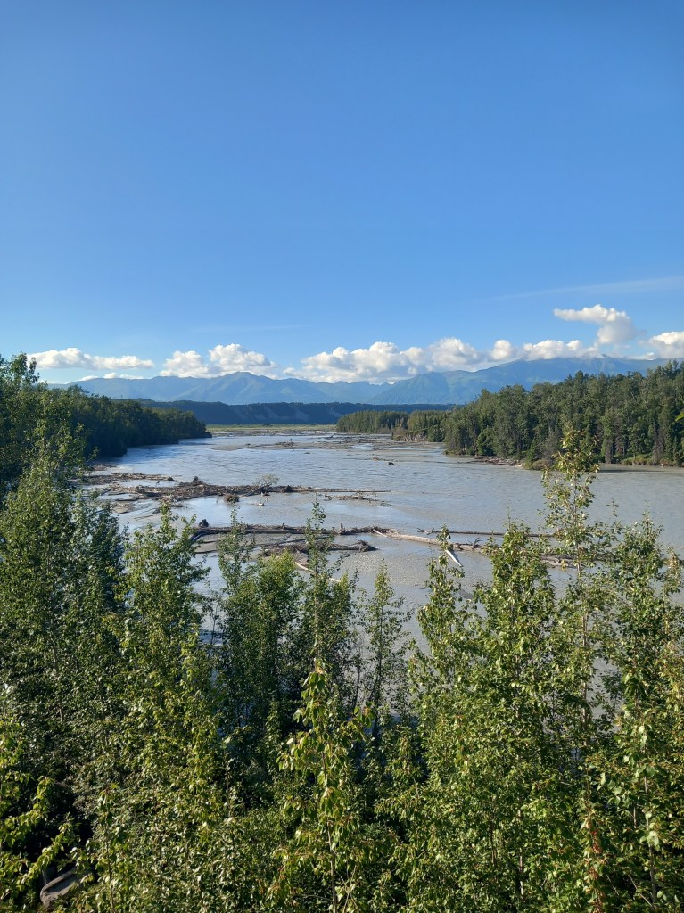 Matanuska river face
