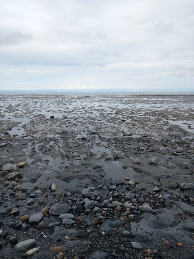 kenai beach