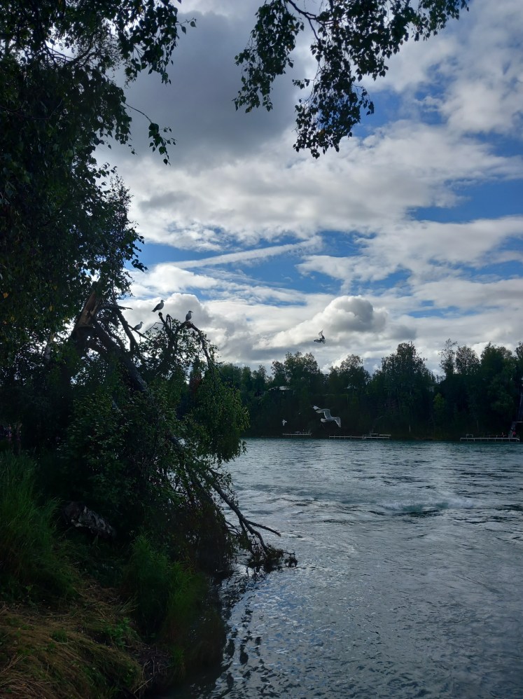 kenai river