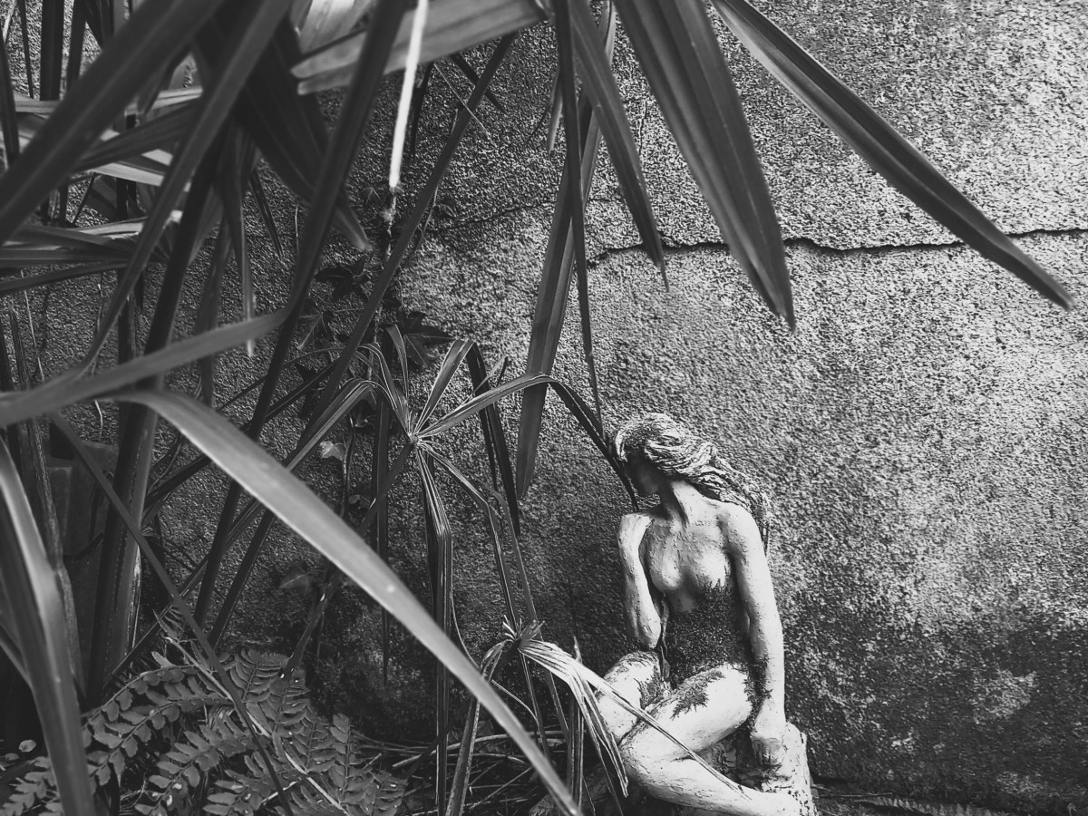 Rêver les yeux&nbsp;ouverts