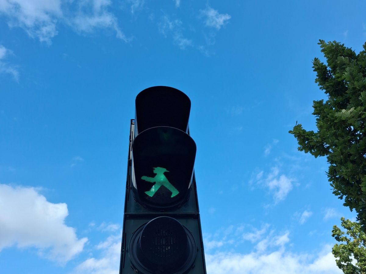 Partir la fleur au&nbsp;fusil