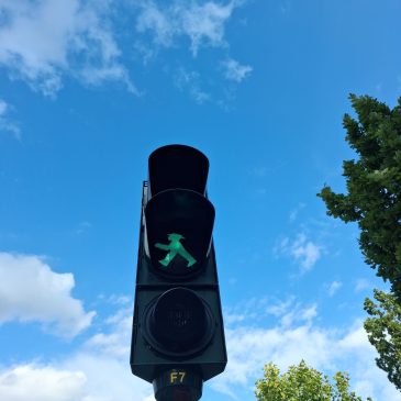 la fleur au fusil