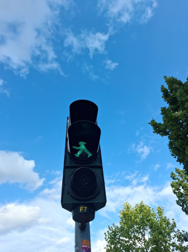 la fleur au fusil