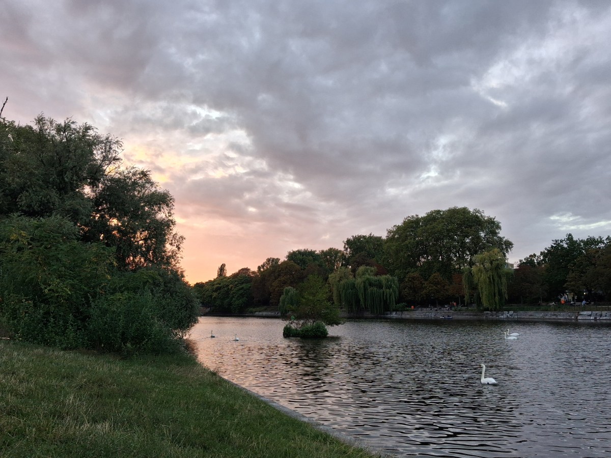 Le saule pleure sur mon&nbsp;cœur